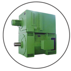 DC Motor : D Series